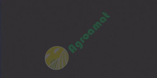 Vopsea neagra mata John Deere 1l