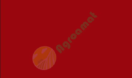 Vopsea rosie Kemper Champion 1l