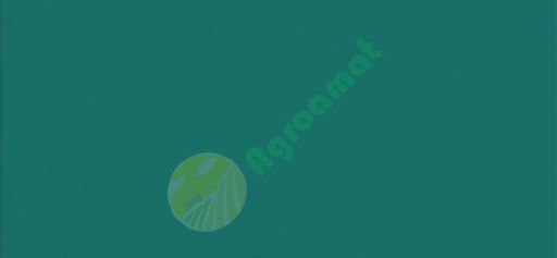 Vopsea verde Kramer 1l