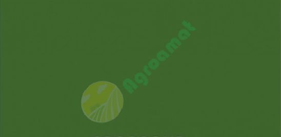 Vopsea verde Krone 1991- 1l