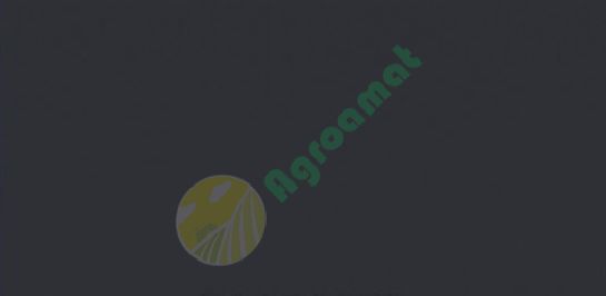 Vopsea gri Kubota 1989- 1l