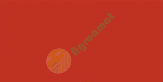 Vopsea portocalie  Kubota -1988 1l