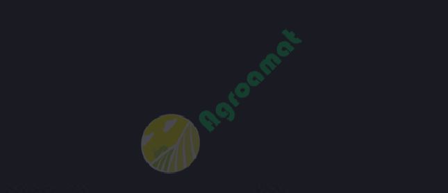 Vopsea albastra închisa Kubota 1l