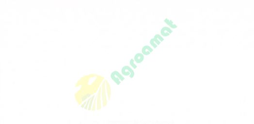 Vopsea alba Kubota 1l