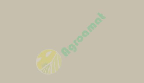 Vopsea rosie Case IH MS3-90 &gt;1992 1l