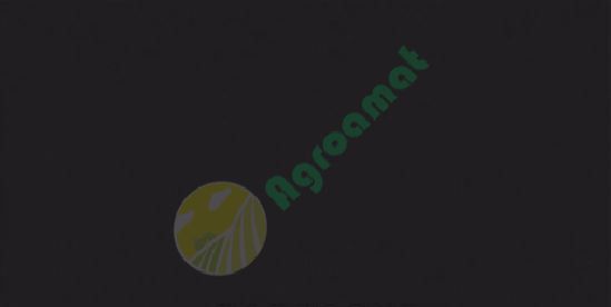 Vopsea albastra Lamborghini -1987 1l