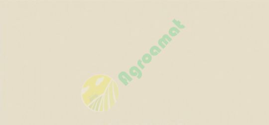 Vopsea crem Lamborghini 1l