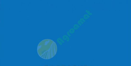 Vopsea albastra  Landini 1998- 1l