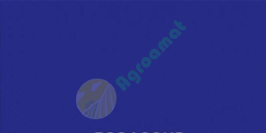 Vopsea albastra închisa Leyland 1l