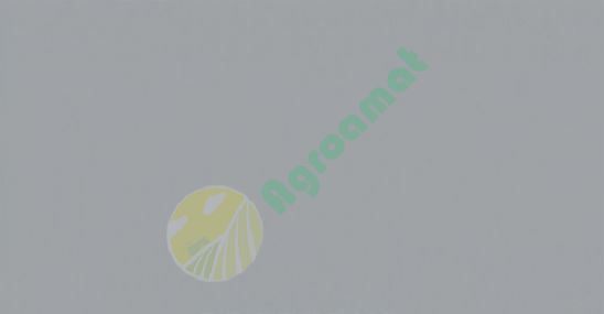 Vopsea argintie Case IH 1l