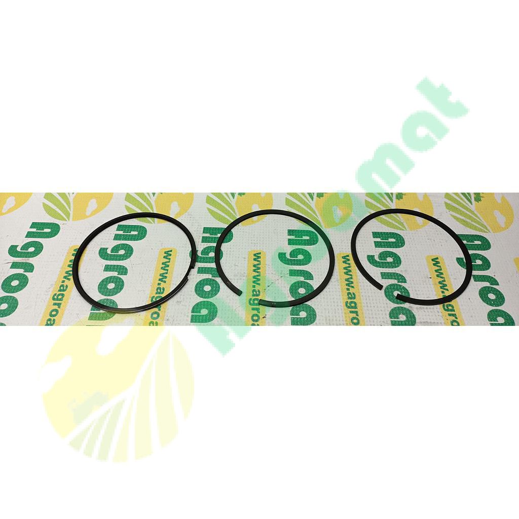 Set Segmenti Kolbenschmidt