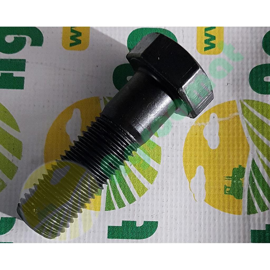 Surub cap Hexagonal  M30x100mm