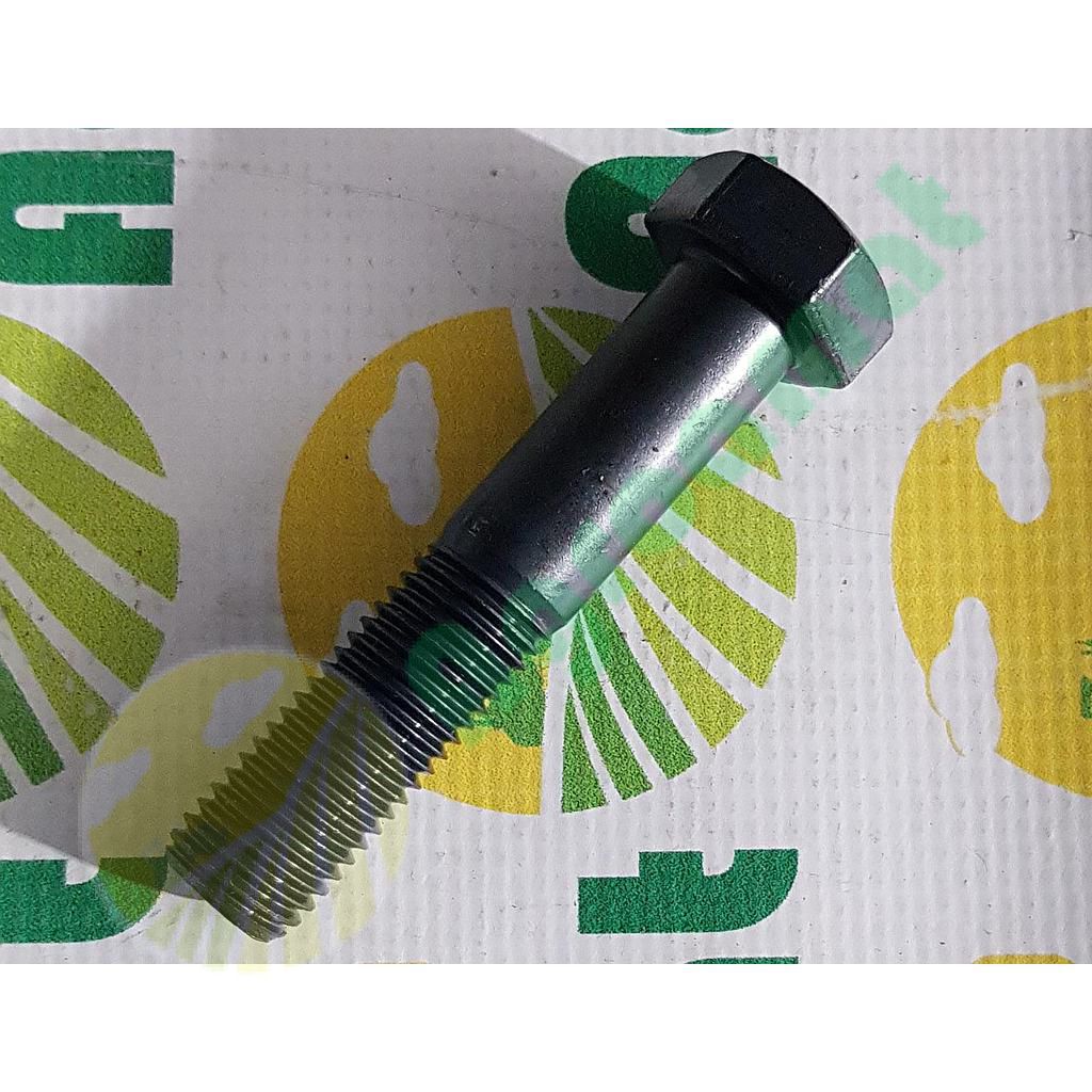 Surub cap Hexagonal  M20x100mm