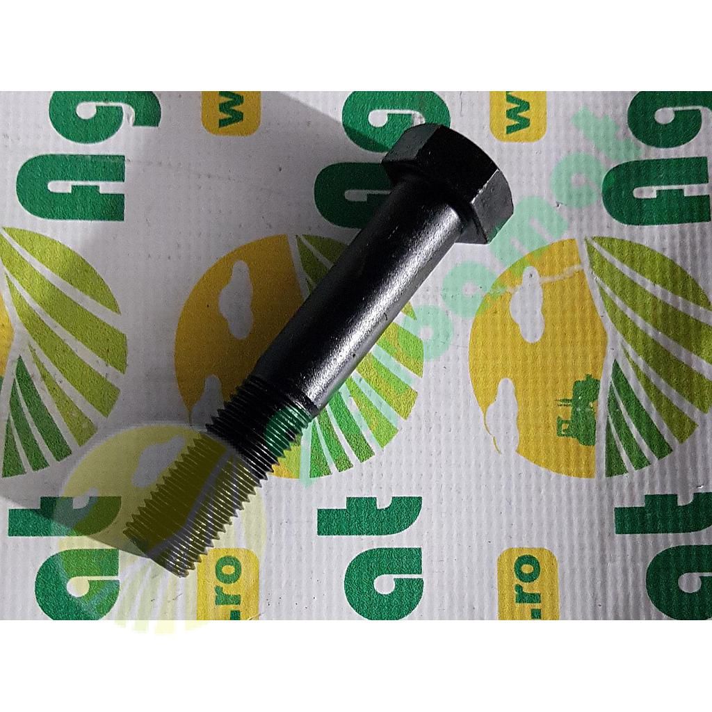 Surub cap Hexagonal  M22x120mm