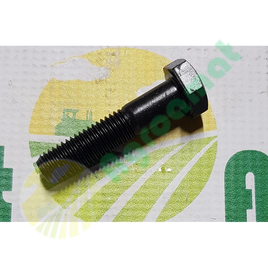 Surub cap Hexagonal  M12x55mm