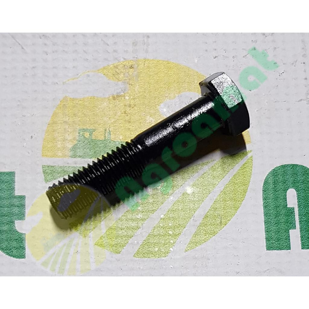 Surub cap Hexagonal  M12x60mm