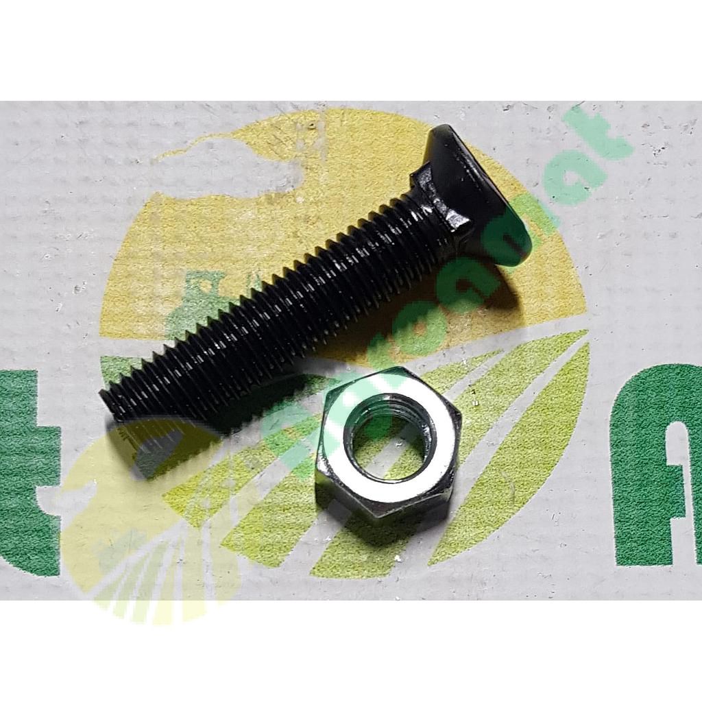 Surub planetara M12x60