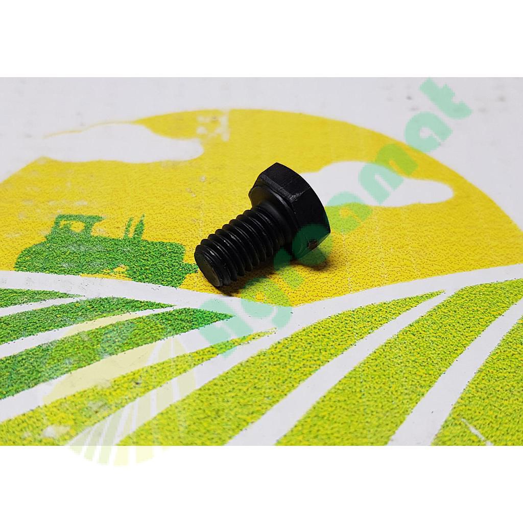 Surub cap hexagonal M6x10mm