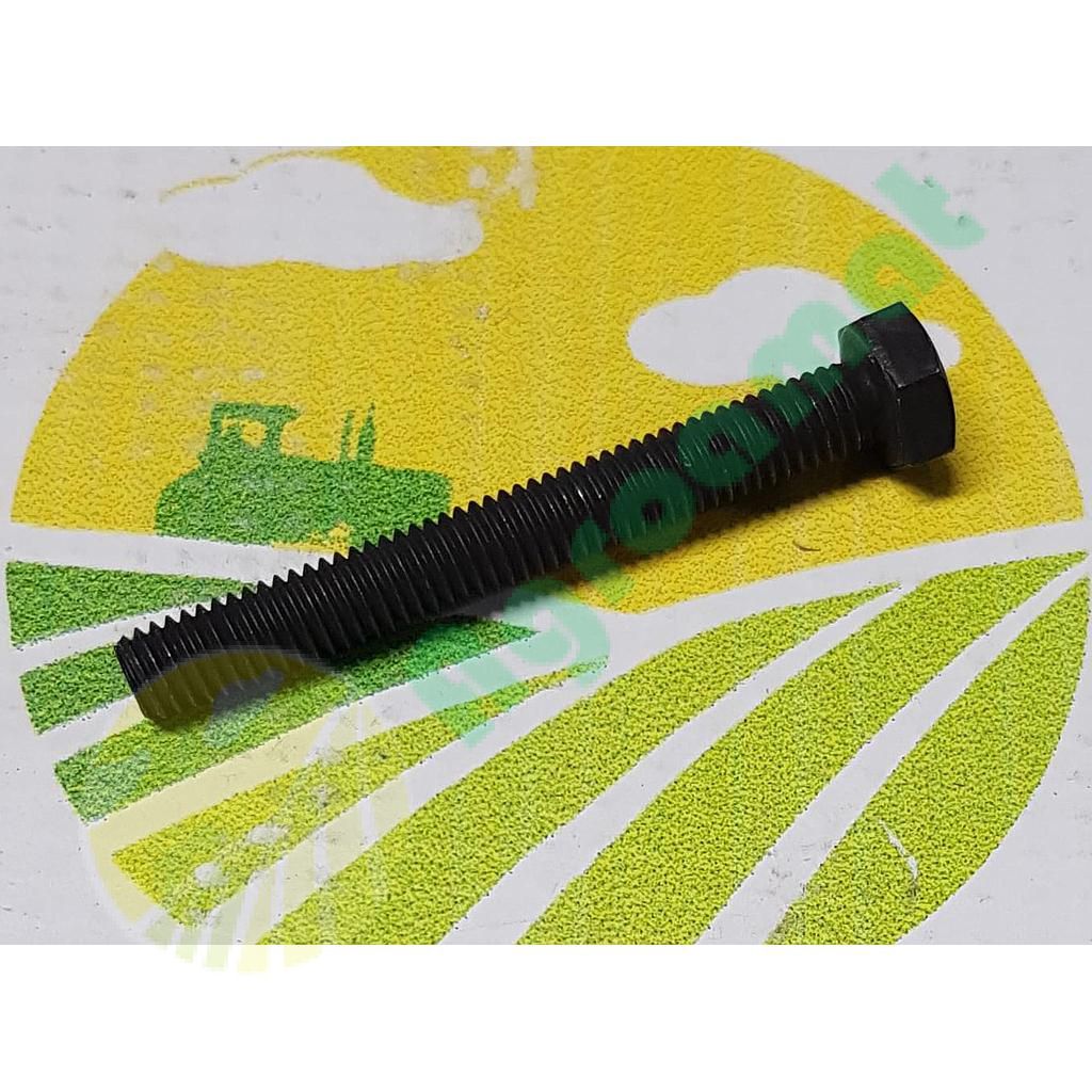 Surub cap hexagonal  M6x50mm