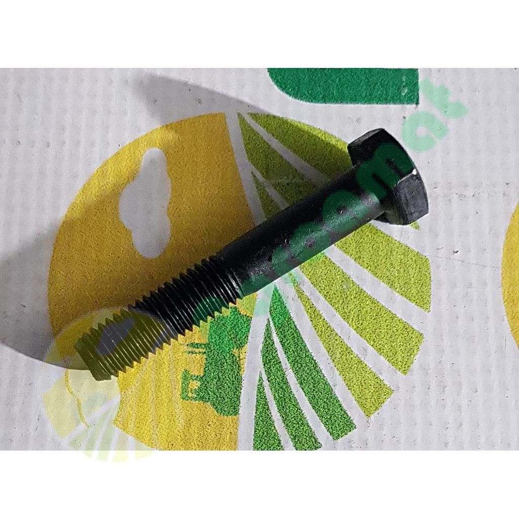 Surub cap hexagonal  M10x60mm