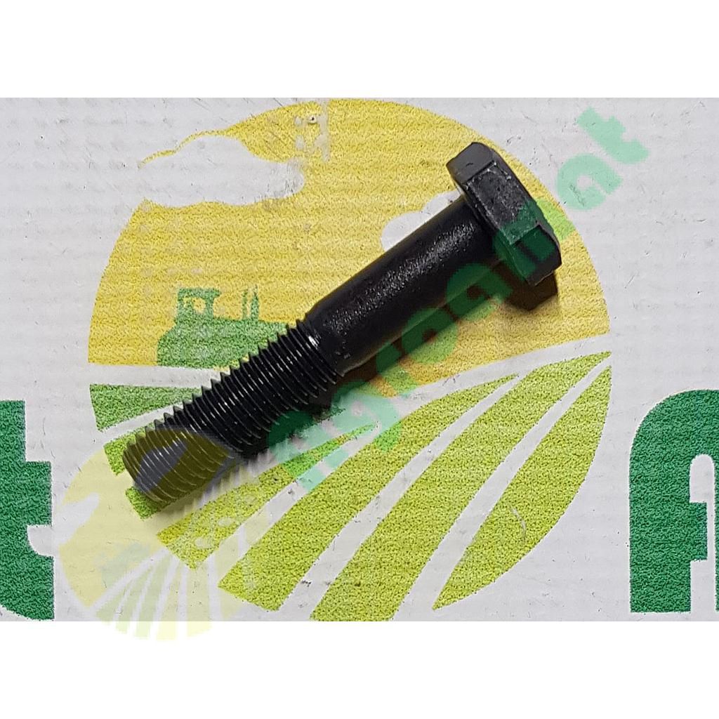 Surub cap hexagonal M10x55mm