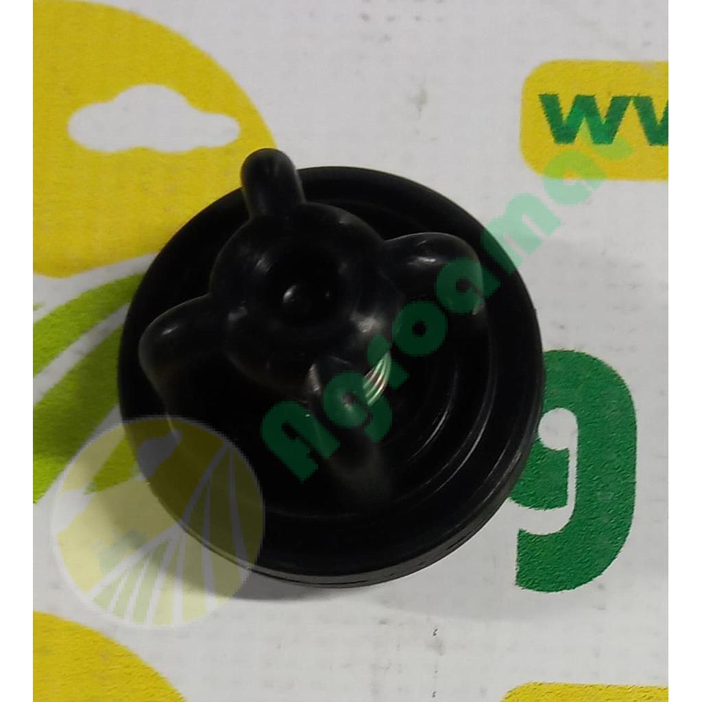 Supapa Pompa P-100 AP20ZP