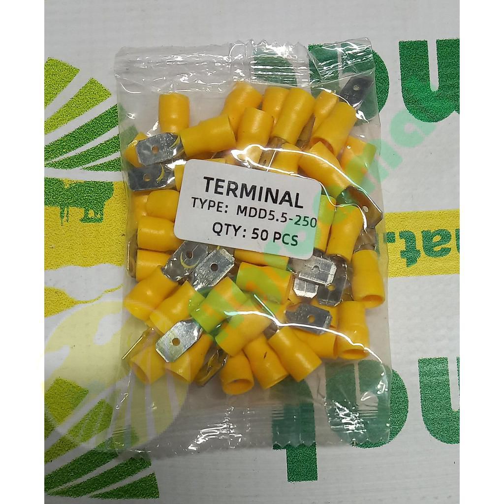 Punga Papuci Electrici Tata TM63 50buc 6.3mm