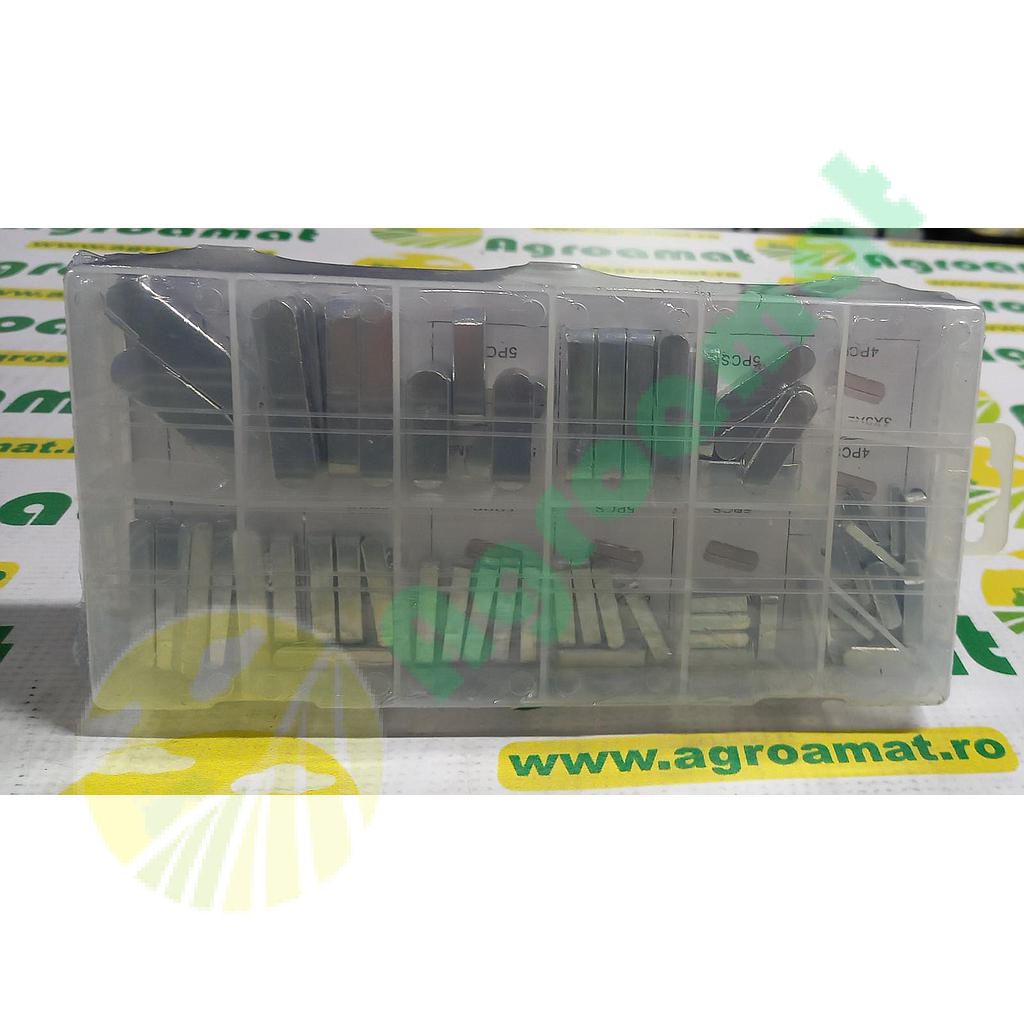 Trusa Pene Drepte 60pcs