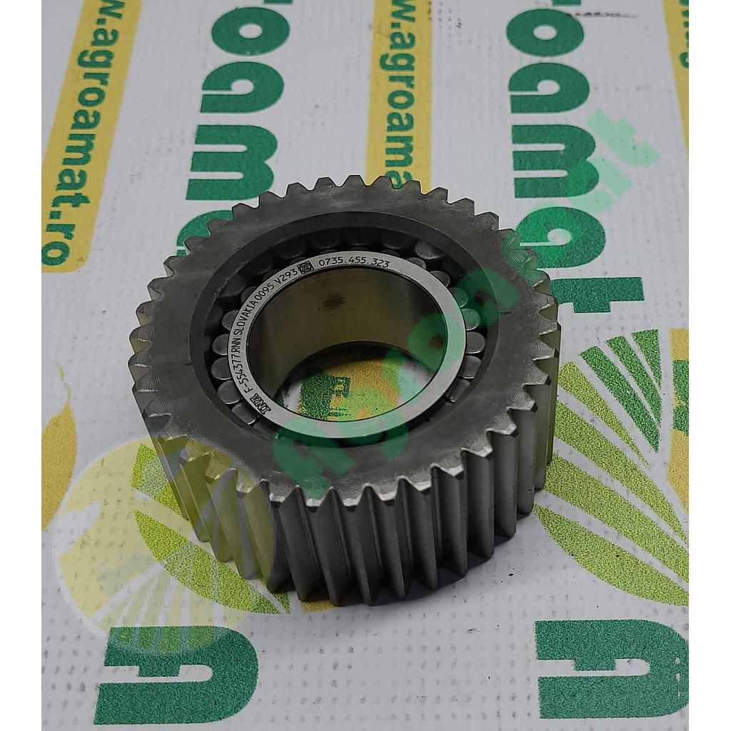Pinion planetar