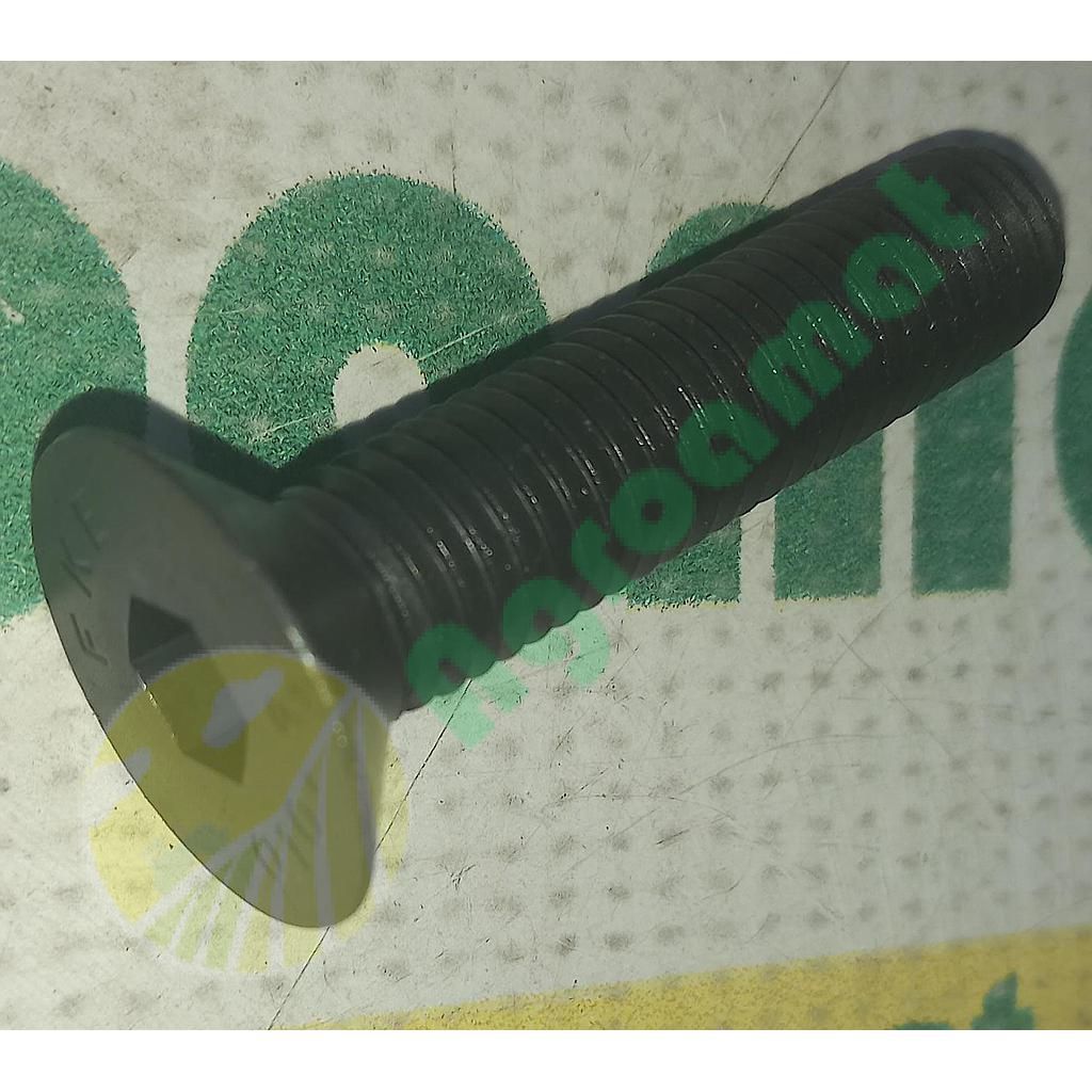 Surub cu Cap Inecat si Locas Imbus M12X55