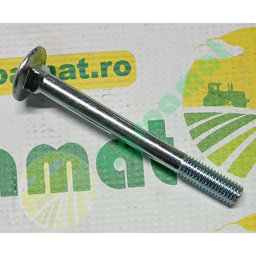 Surub cap bombat gat patrat M10x100mm