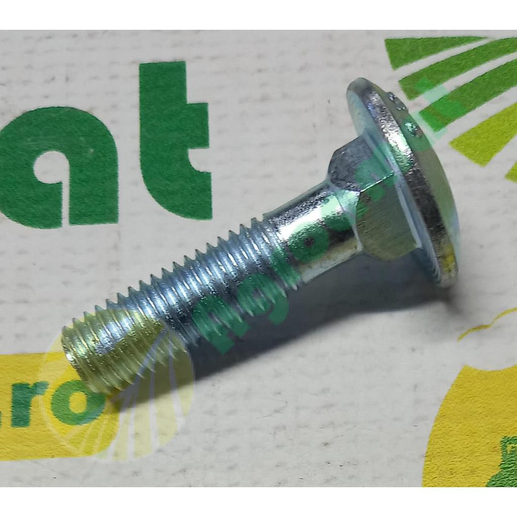 Surub cap bombat gat patrat M12x70mm