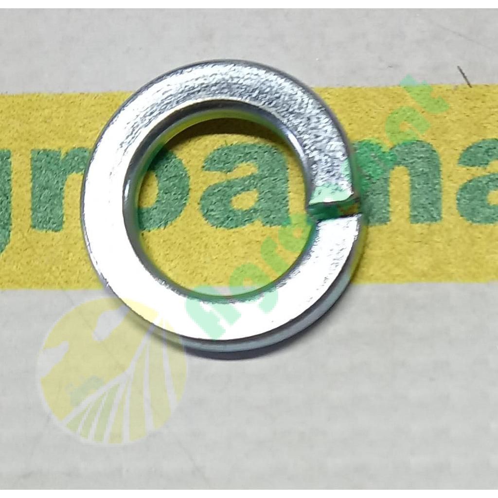 Saiba Grower M22x35,9x4mm