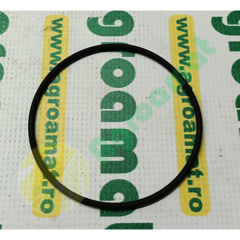 O-Ring