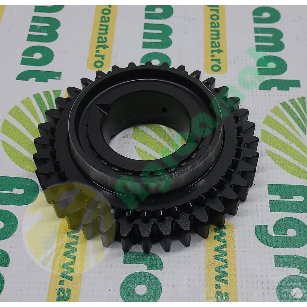 Pinion