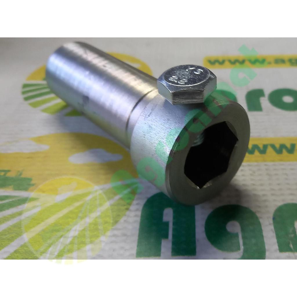 Arbore hexagonal interior