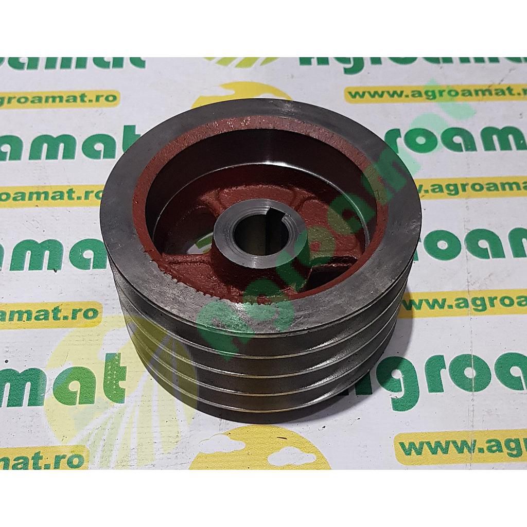 Fulie mica cositoare