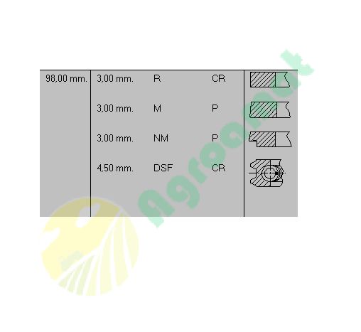 Set Segmenti Renault RVI 