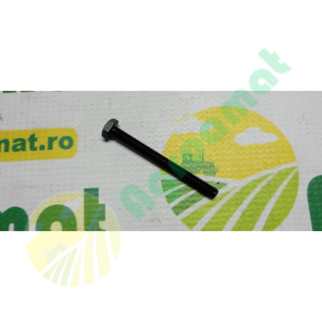 Surub cap hexagonal  M6x70mm