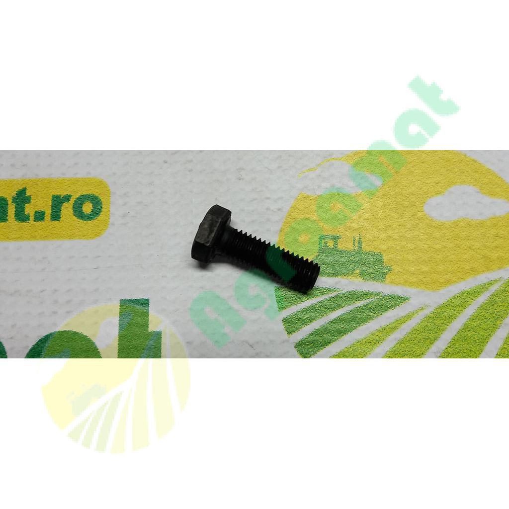 Surub cap hexagonal  M8x25mm