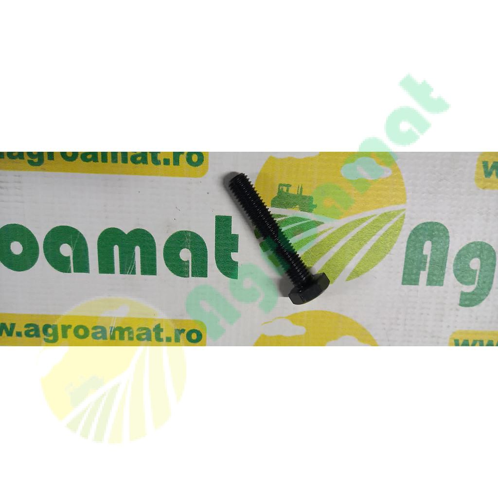 Surub cap hexagonal  M10x55mm