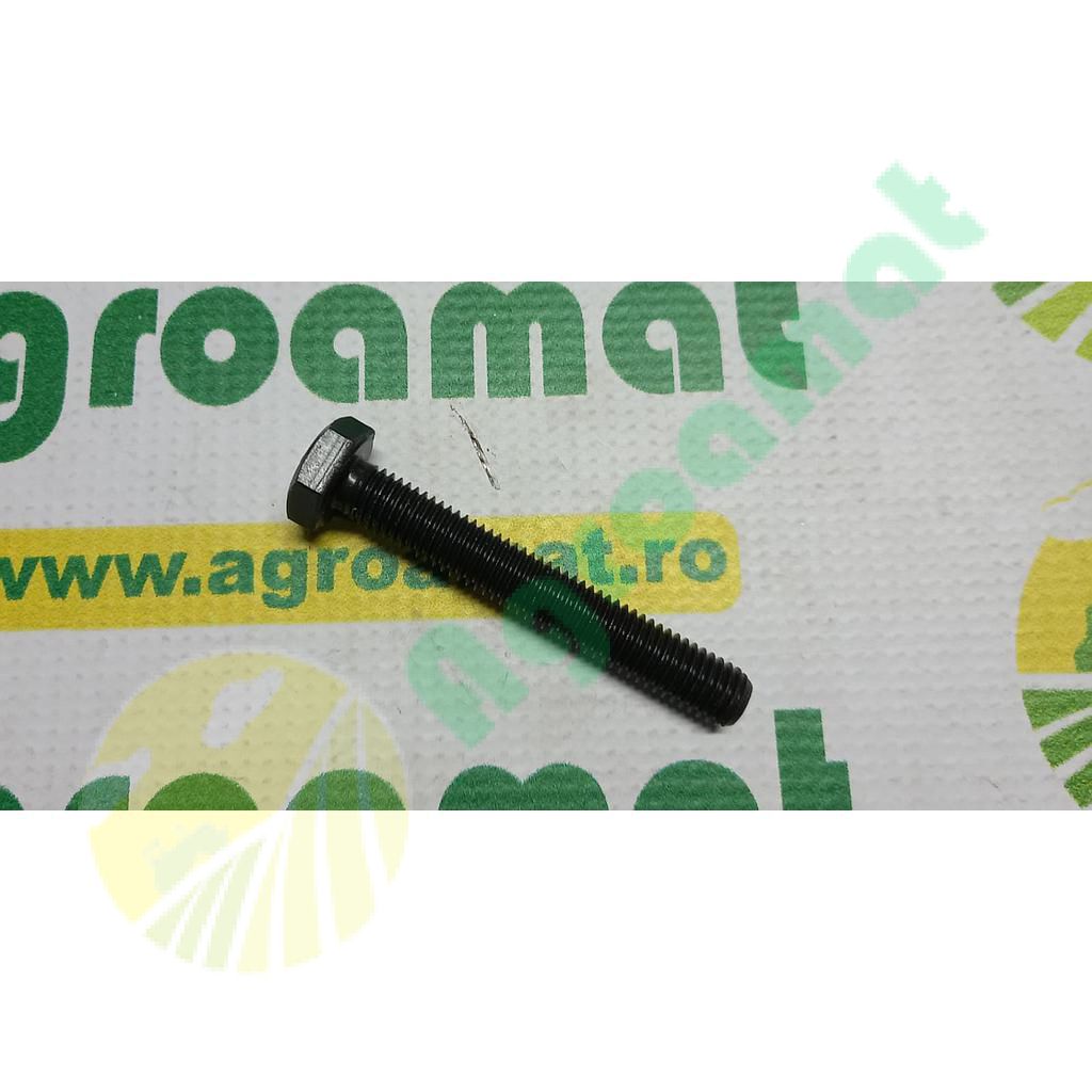 Surub hexagonal  M10x120mm