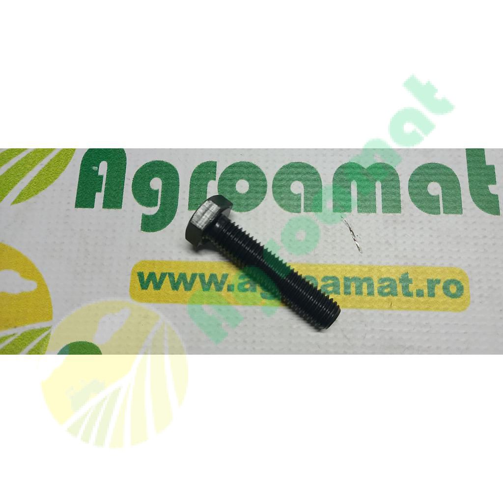 Surub cap hexagonal  M12x60mm