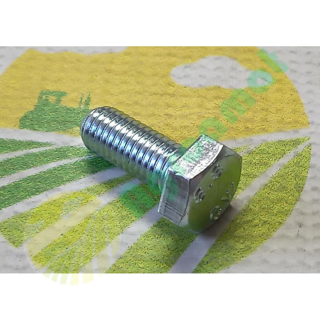 Surub hexagonal M10x25mm