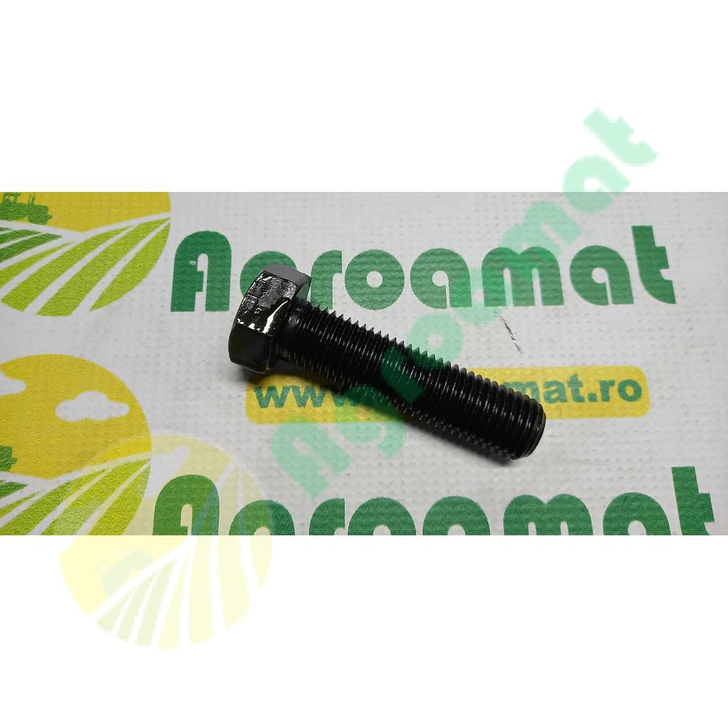Surub hexagonal  M20x80mm