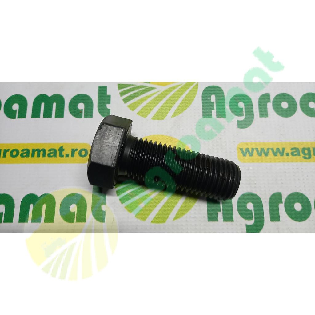 Surub hexagonal  M36x70mm