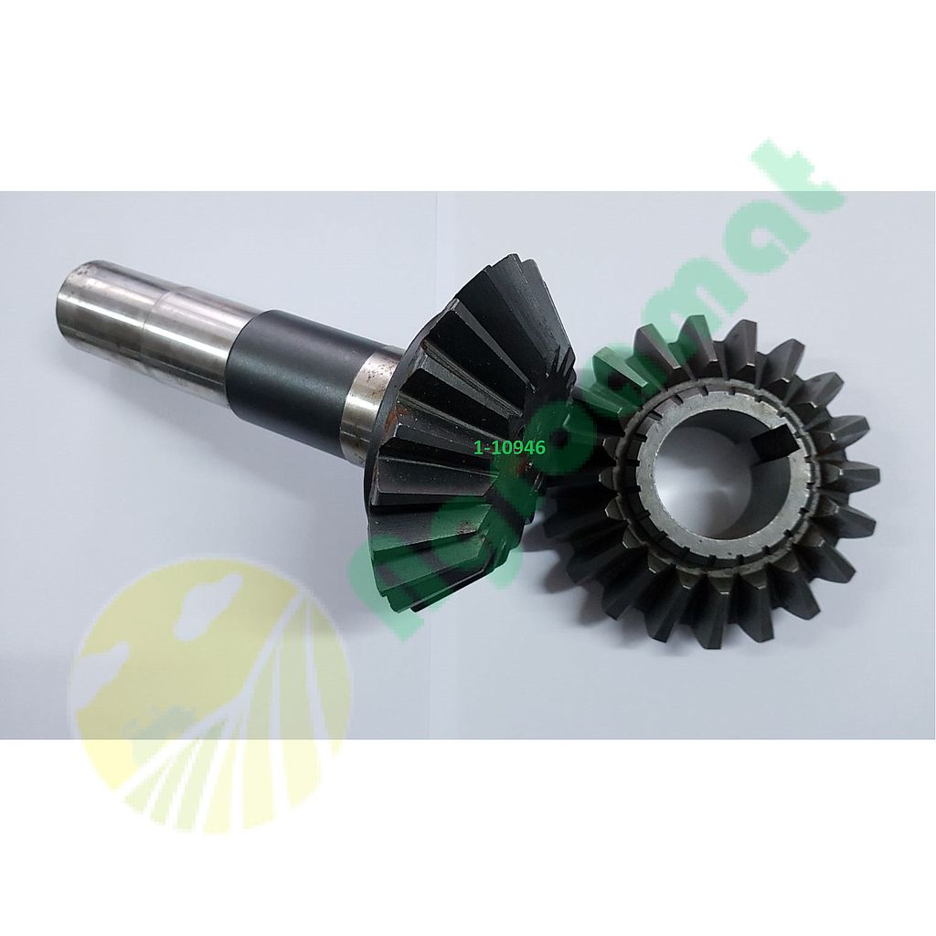 Set Pinion