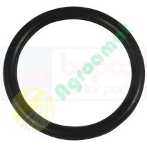 O-Ring