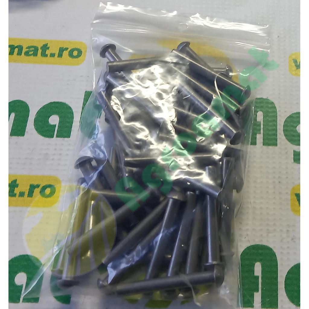 Nituri 6x45 pachet 0.5 Kg