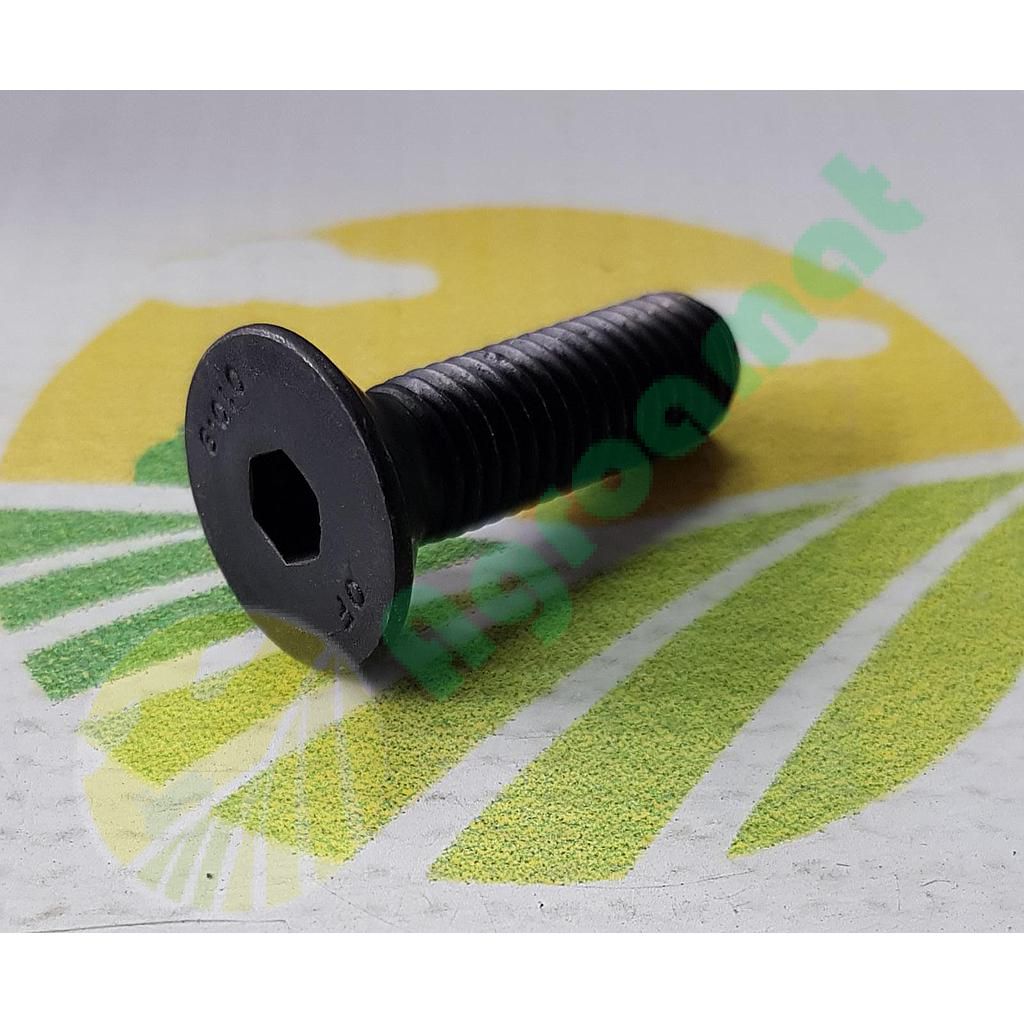 Surub cap Inecat cu Imbus M10X35